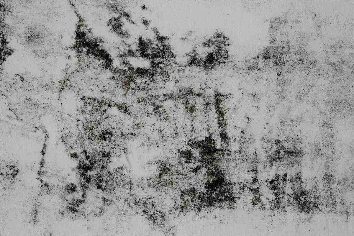 Pleśń - jak jej zapobiec?