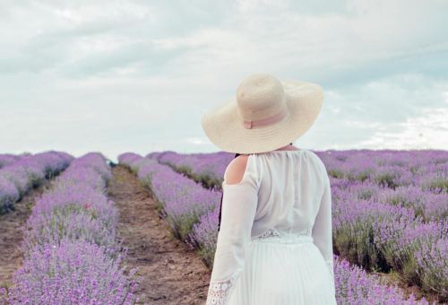 Wprowadź do swojego wnętrza styl prowansalski