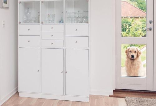 Czy warto zamontować drzwiczki dla psa w swoim domu?