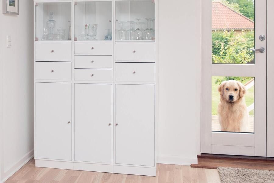 Czy warto zamontować drzwiczki dla psa w swoim domu?